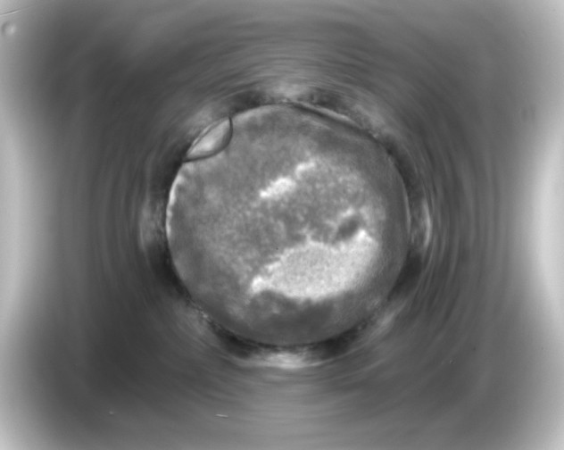 X0000084560236200703161710