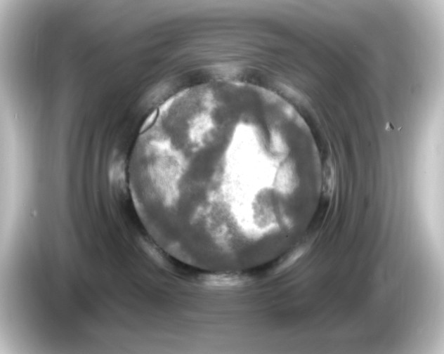 X0000084560238200703161710