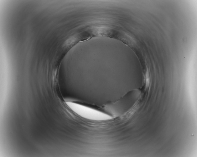 X0000084560239200703161710