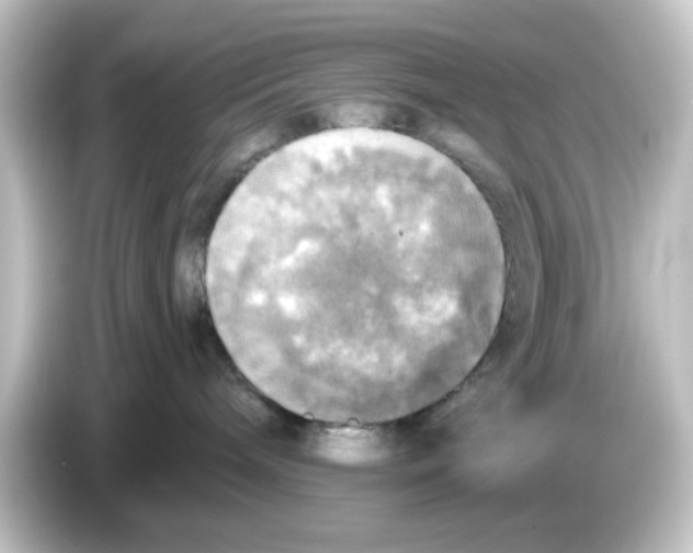 X0000084560240200703161710