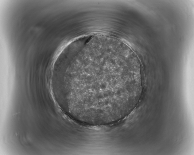 X0000084560241200703161709