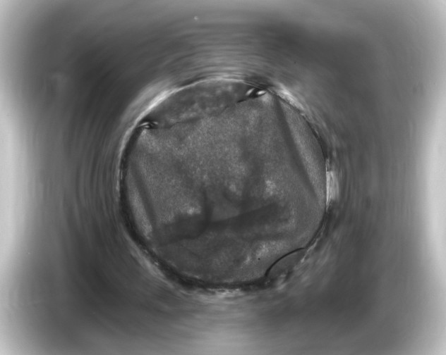 X0000084560243200703161709