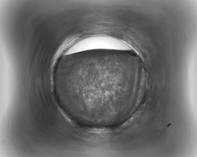 X0000084560245200703161709