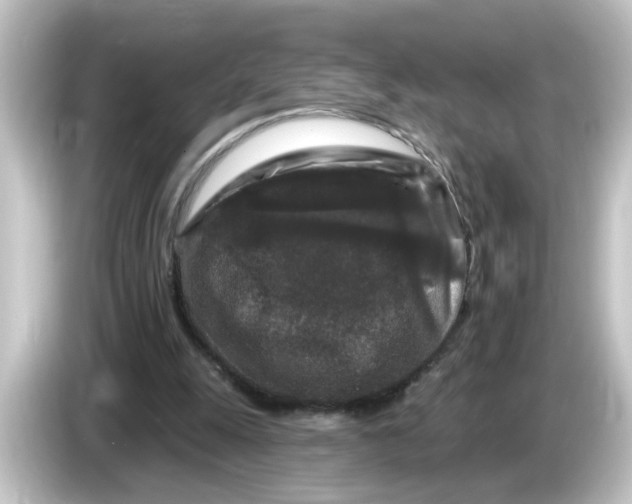 X0000084560247200703161709