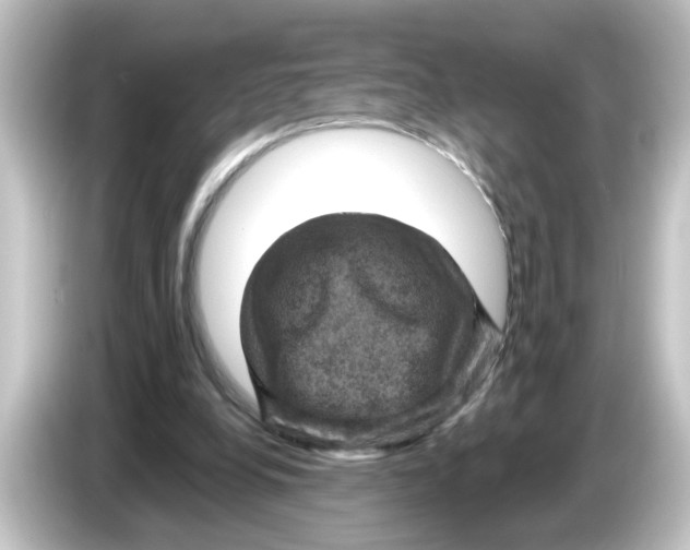 X0000084560248200703161709