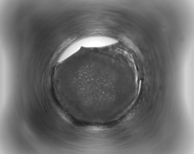 X0000084560250200703161709