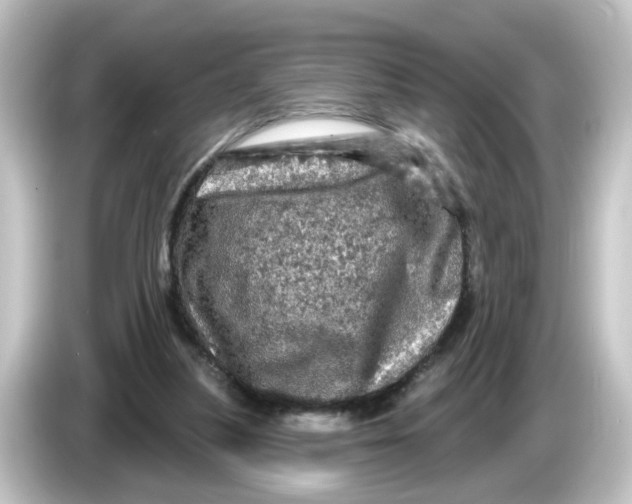 X0000084560251200703161709