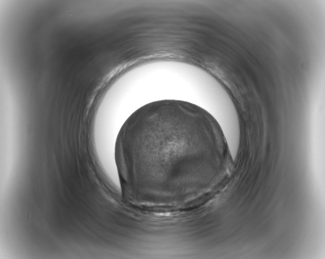 X0000084560252200703161709