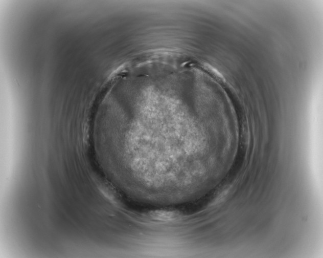 X0000084560255200703161709