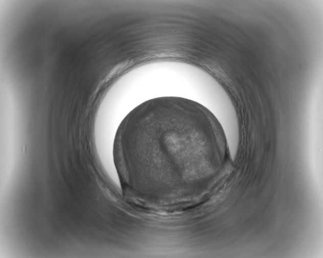 X0000084560256200703161709