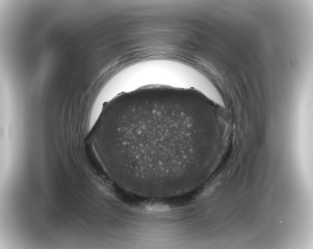 X0000084560258200703161709