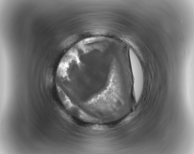 X0000084560261200703161709