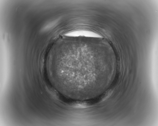 X0000084560263200703161709