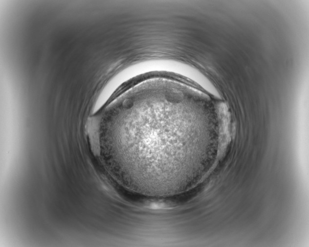 X0000084560264200703161709