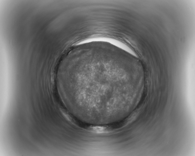 X0000084560265200703161709