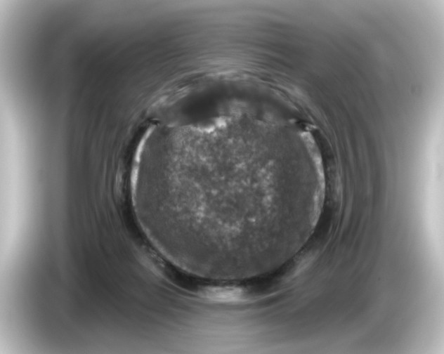 X0000084560266200703161709