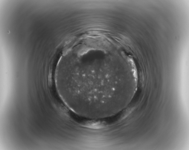 X0000084560267200703161709