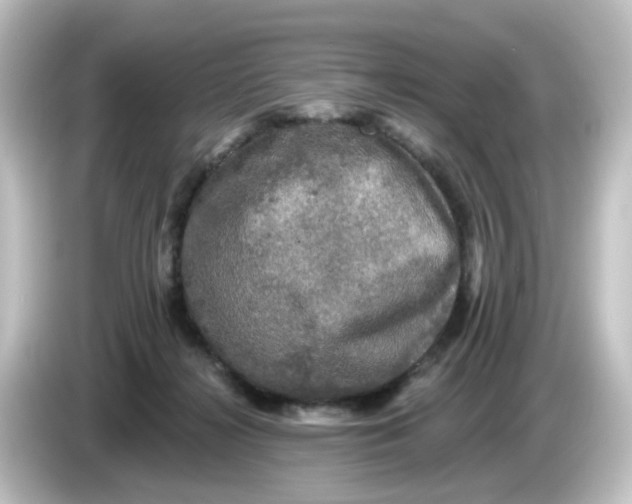 X0000084560268200703161709