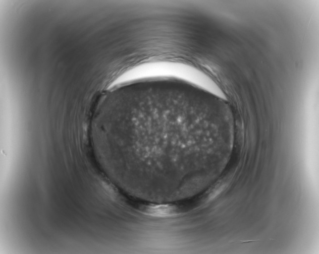 X0000084560269200703161709