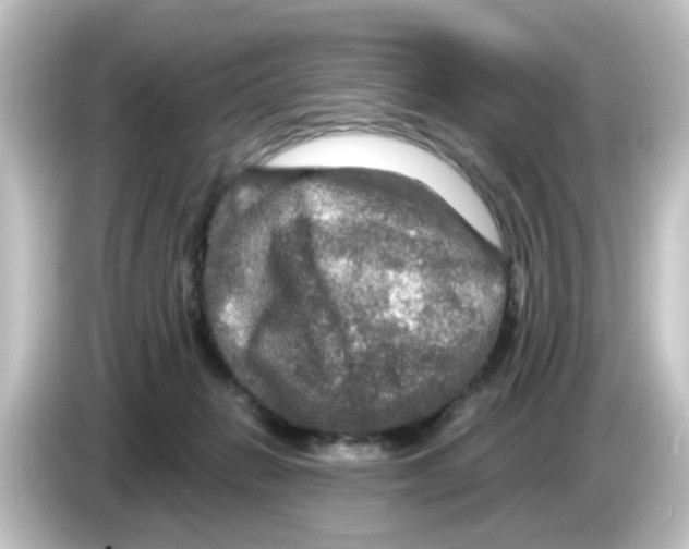 X0000084560270200703161709