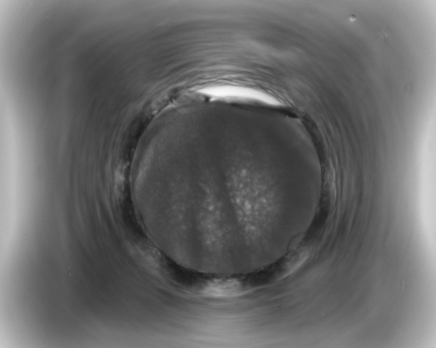 X0000084560271200703161709