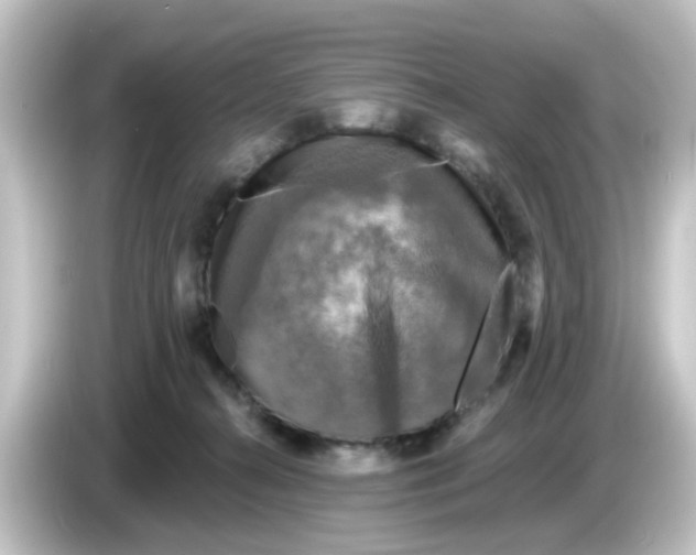 X0000084560272200703161709