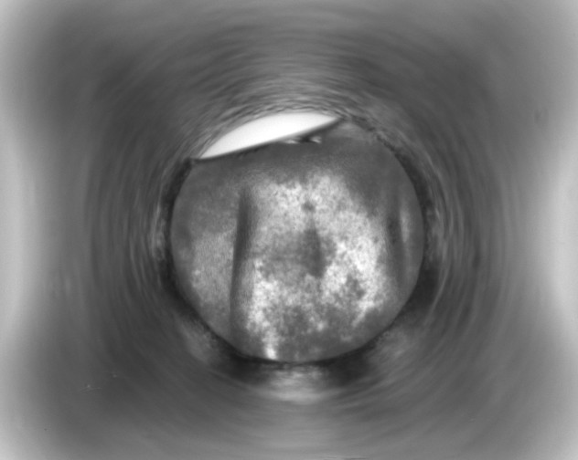 X0000084560274200703161709