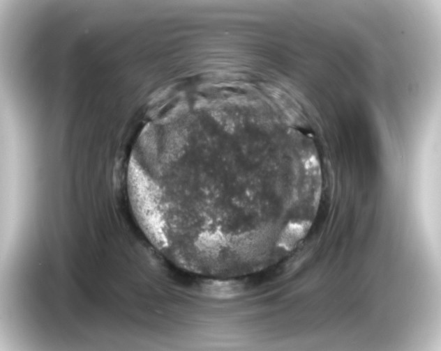 X0000084560277200703161710