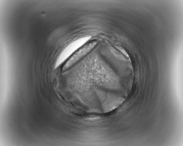 X0000084560278200703161710