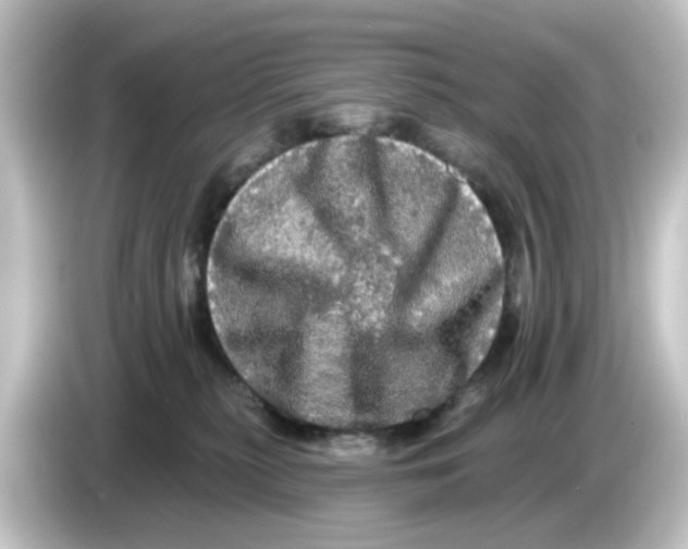 X0000084560279200703161710