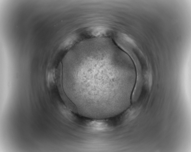 X0000084560280200703161710