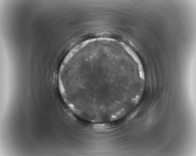 X0000084560281200703161710