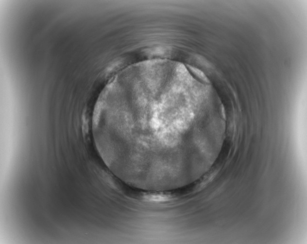 X0000084560282200703161710