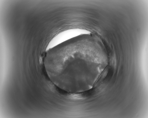 X0000084560283200703161710