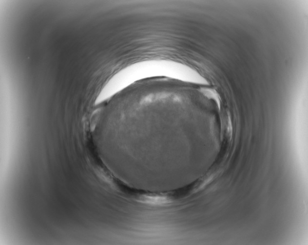 X0000084560284200703161710