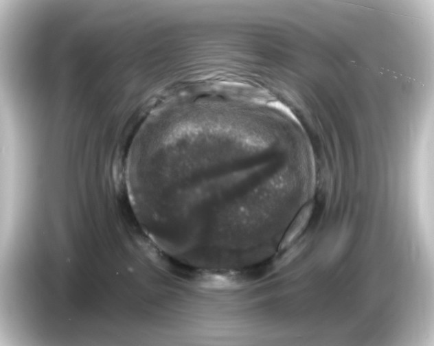 X0000084560285200703161710