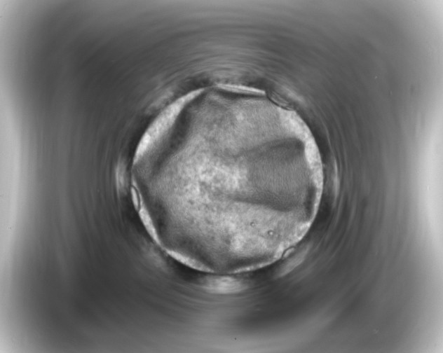 X0000084560287200703161710