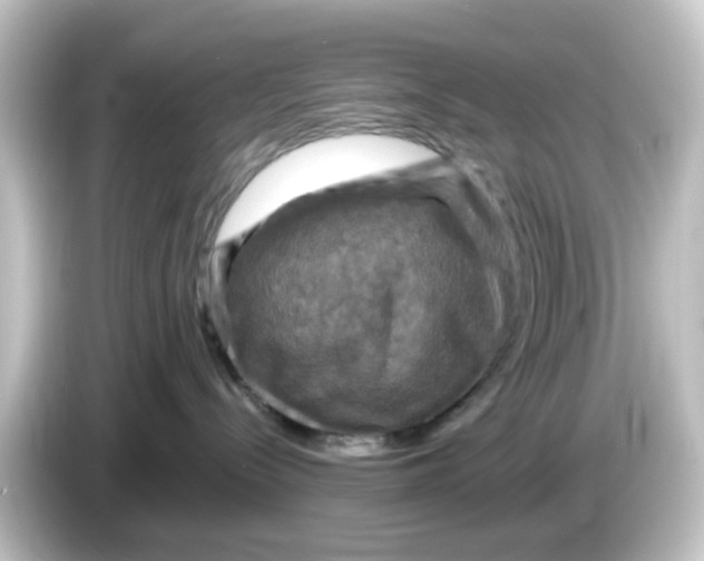 X0000084560288200703161710