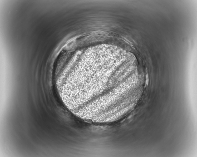 X0000084560291200703161709