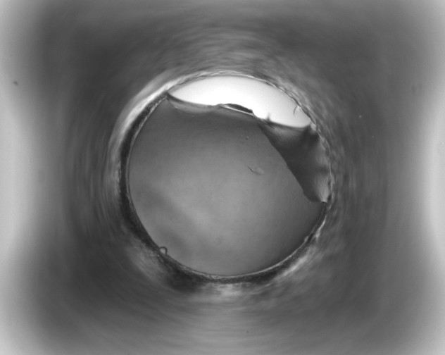 X0000084560295200703161709