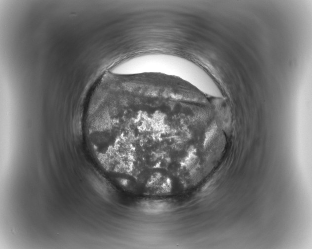 X0000084560299200703161709