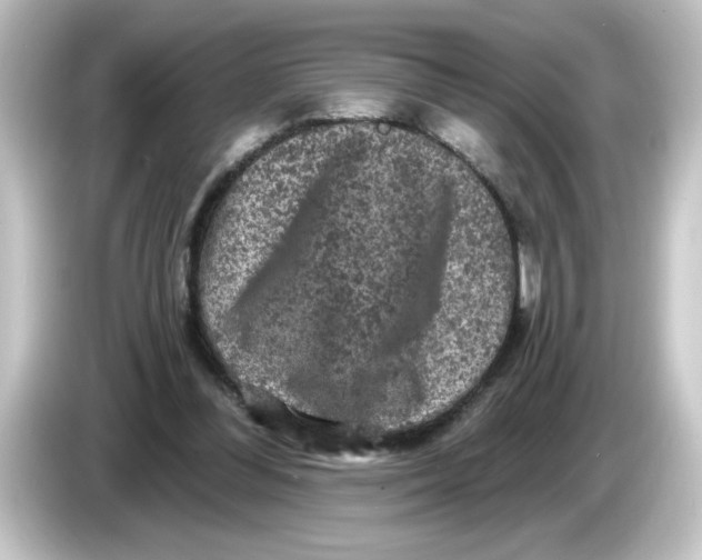 X0000084560300200703161709