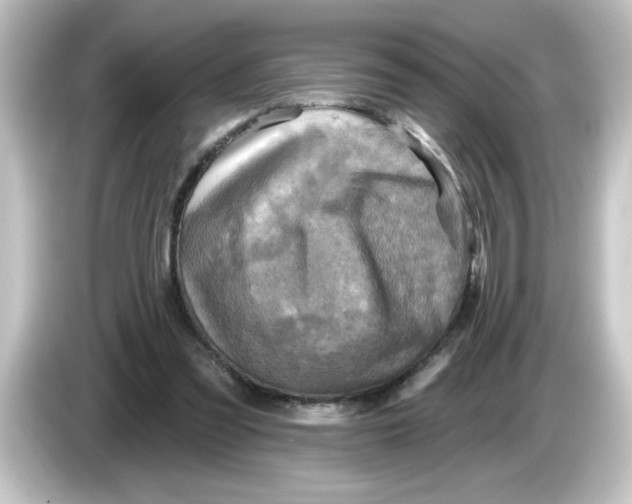 X0000084560301200703161709