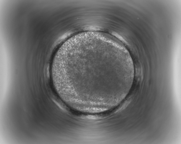 X0000084560302200703161709