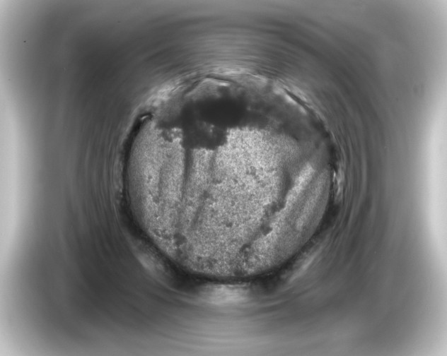 X0000084560303200703161709