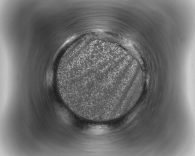 X0000084560304200703161709