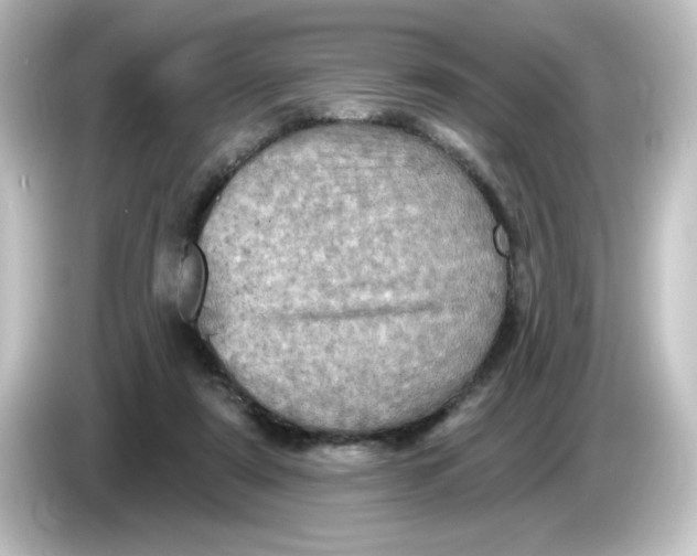 X0000084560307200703161709