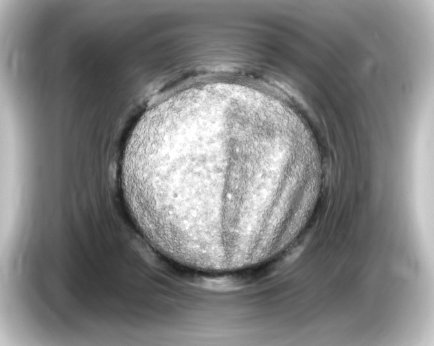 X0000084560309200703161709