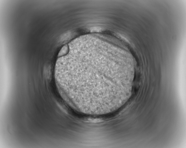 X0000084560311200703161709