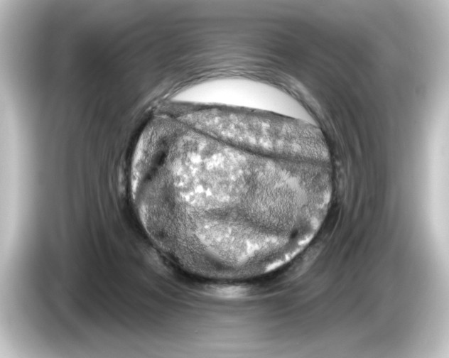 X0000084560313200703161709